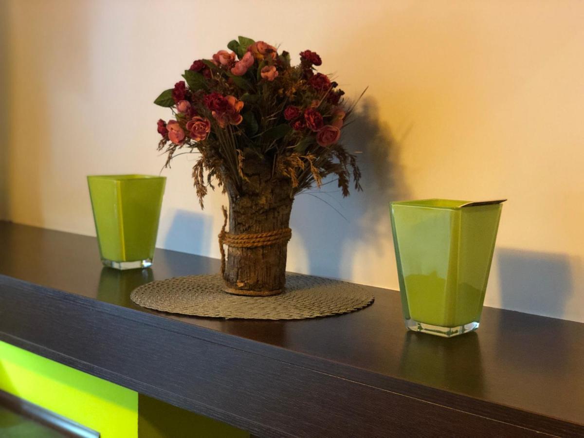 Apartament Jagiellonska Sosnowiec Kültér fotó